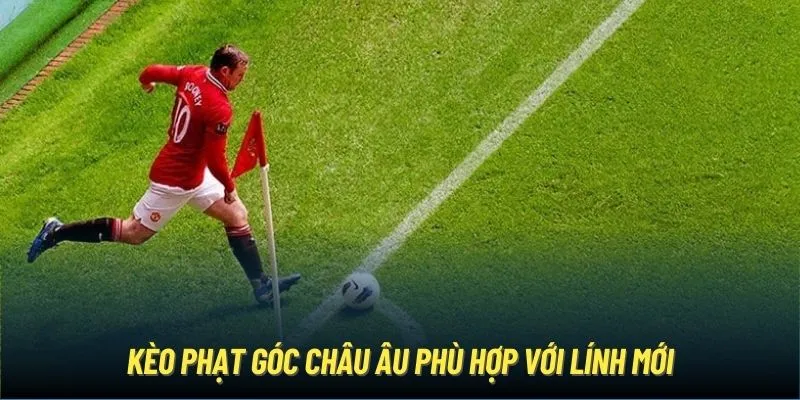 Kèo phạt góc châu Âu phù hợp với lính mới