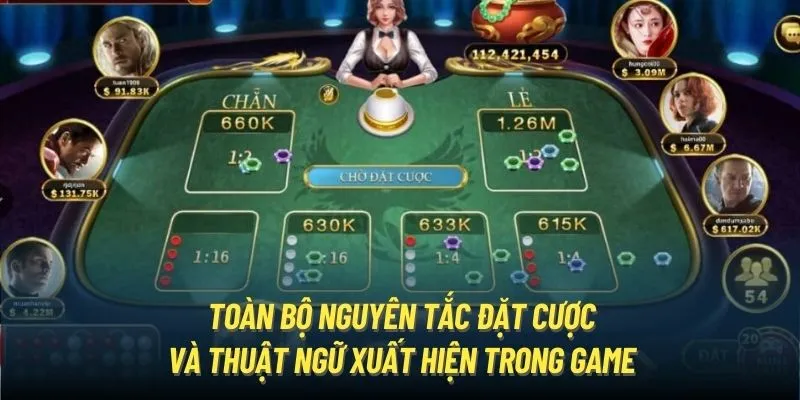 Toàn bộ nguyên tắc đặt cược và thuật ngữ xuất hiện trong game